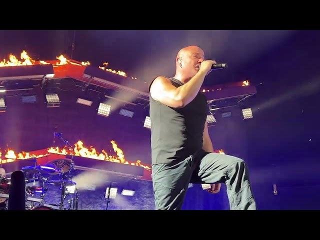 Disturbed - The Light (Live) 4K