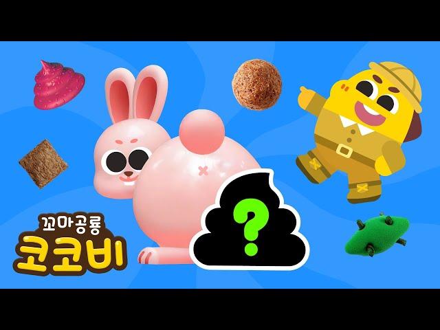 동물들의 신기한 똥동물 응가송 | 어린이 동요 Kids Song | 꼬마공룡 코코비