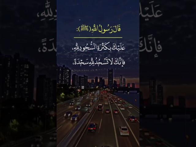 القرآن الكريم نجاة الإنسان