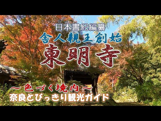 【東明寺】日本書紀編纂舎人親王創始のお寺。隠れた紅葉の名所、奈良時代の古刹東明寺のご案内。矢田丘陵にひっそりと佇む東明寺の魅力　奈良とびっきり観光ガイド【奈良観光】