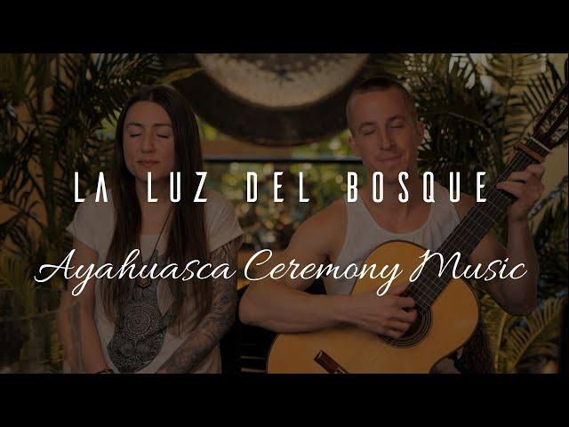 La Luz Del Bosque - Ayahuasca Ceremony Music - Good Vibes!