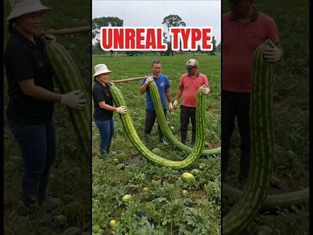Unreal new type of watermelon found #fruit #farming #watermelon #farmer #harvest