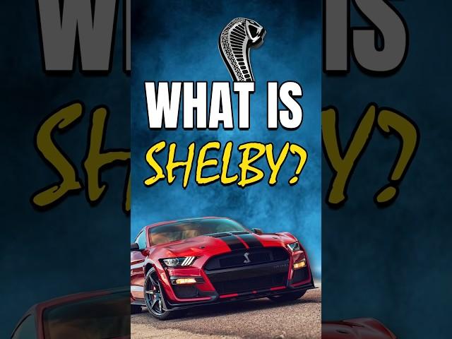 What is Shelby?