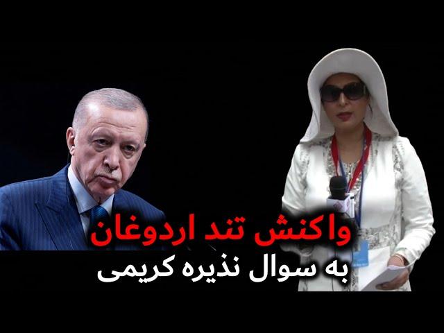 سوال نذیره کریمی از رئیس جمهور اردوغان و واکنش تند بخش تیم مطبوعاتی ترکیه در مقر سازمان ملل