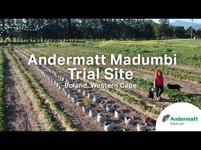 Andermatt Madumbi Trial Site