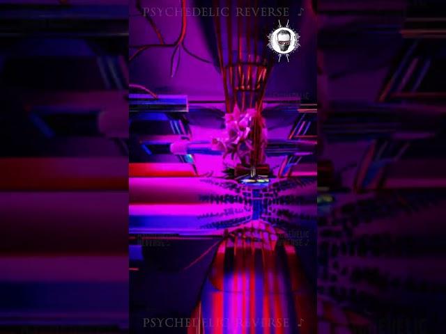 [Psychedelics] Trippy Visuals 🟣 (4K) --- ⌘4
