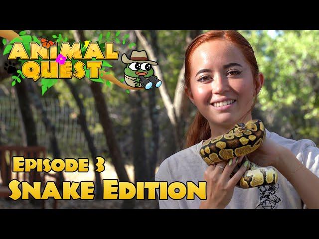 Animal Quest Remastered Ep. 3: Snake Edition