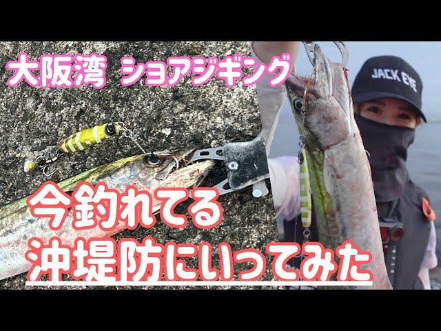 【釣りガール】今釣れてる沖堤防に行ってみた【ショアジギング】