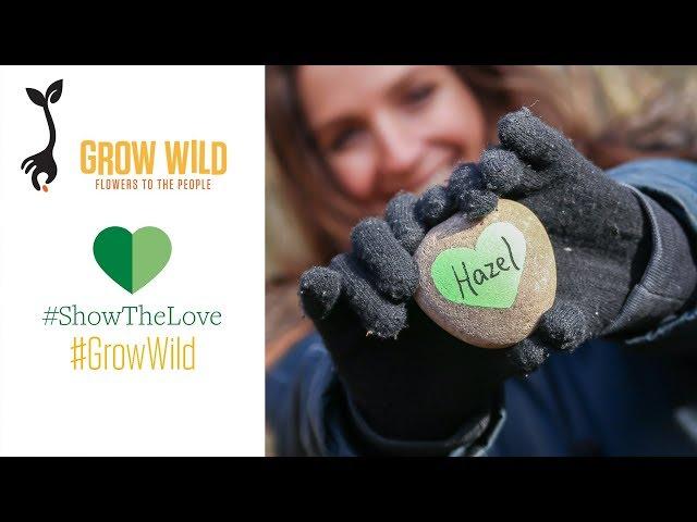 How to make heart plant markers with Hannah Grows