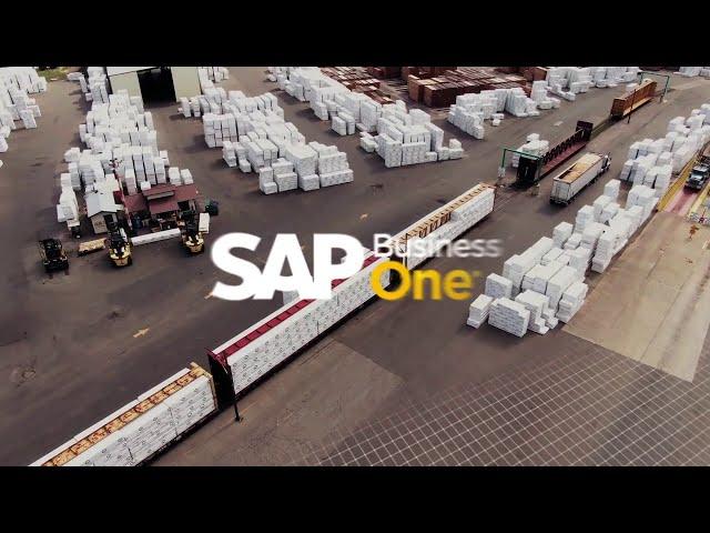 SAP Business One   Analytics and reports
