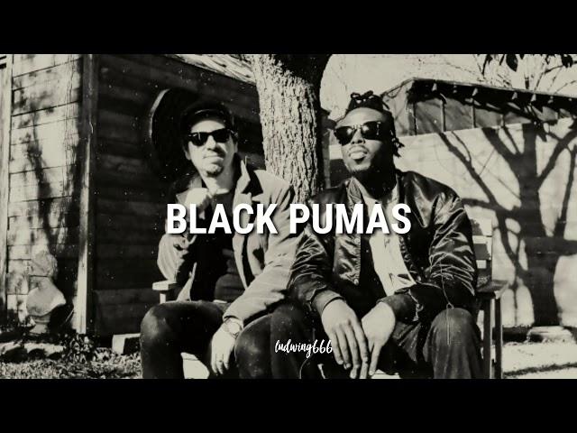 Black Pumas - Touch The Sky // lyrics español