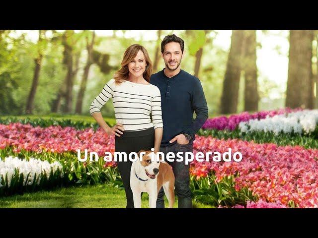 Un amor inesperado [2.019] HDTVRip (Español Castellano)