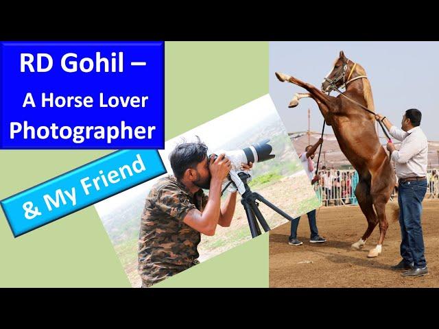 Amazingly Awesome Indian Marwari Stallion Shooting By R.D. Gohil At Sarangkheda Horse Fair