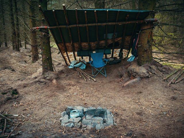 Harwood forest wild camp with the Young Wanderer