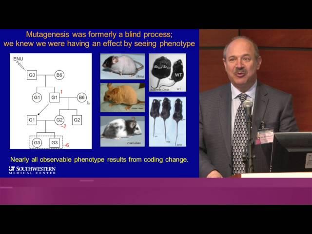 Finding New Components of the Mammalian Immune System | Bruce Beutler, MD