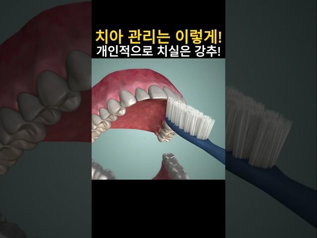 오복 중 하나! 치아 관리! #치아건강 #치과치료 #건강정보
