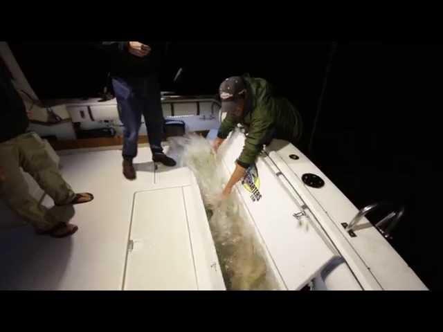 MUCC Video | Sturgeon Fishing on Lake St. Clair