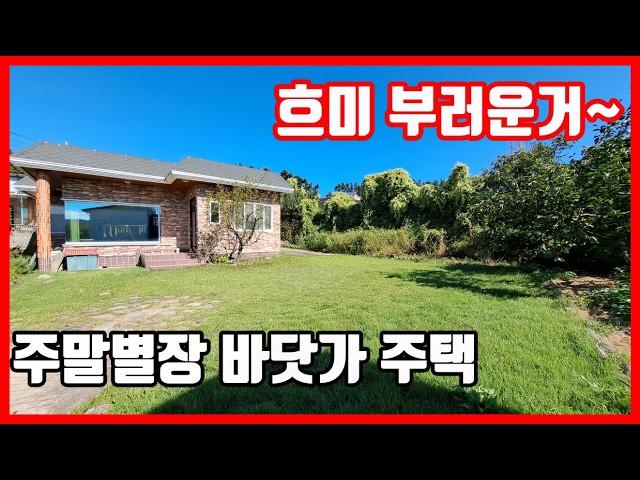 손님들한테 인기 많았던 바닷가 주택 구경. 포항 경주 영덕 바닷가 주택매매 바닷가 시골집매매 바닷가 토지매매 전문 #착한부동산tv