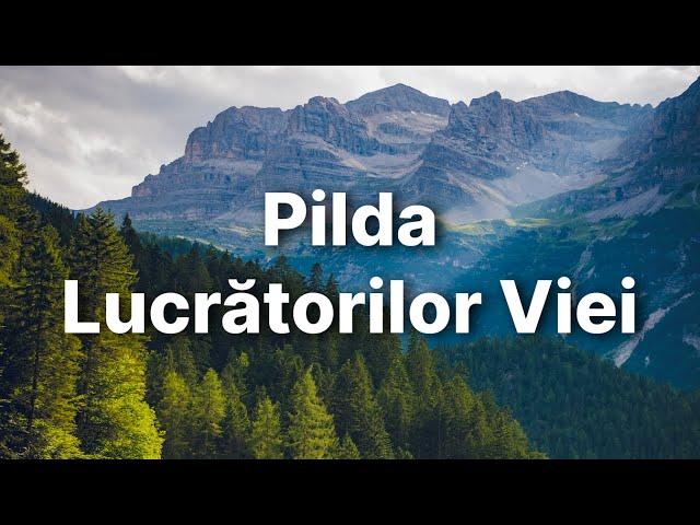 Pilda Lucrătorilor Viei - fr. Brent Hislop - 30.12.2023