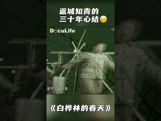 返城知青的三十年心结：抛下东北妻儿返回上海，这位父亲后悔了吗？《白桦林的春天》【DocuLife-SMG真实传媒】