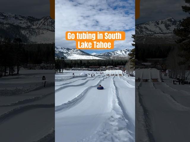 Go Tubing in South Lake Tahoe (via bay_explorer on IG) #shorts