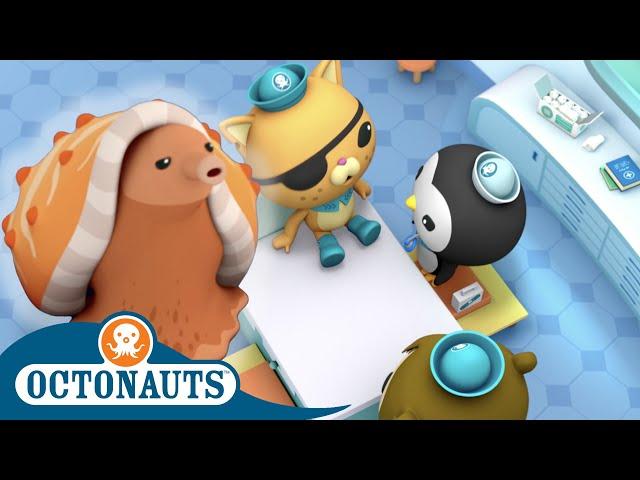 Octonauts - The Cone Snail | Cartoons for Kids | Underwater Sea Education