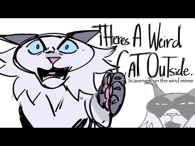 There’s A Weird Cat Outside - scavenger on the wind meme // AU warrior cats