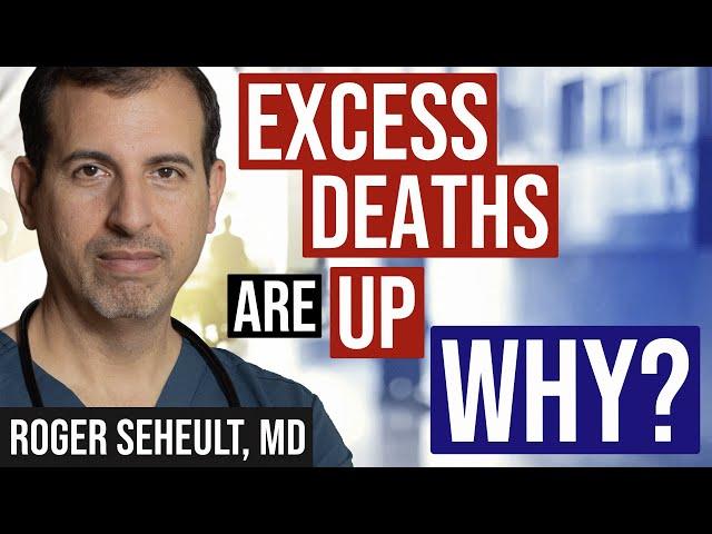 Excess Deaths: Causes (Deep Dive)