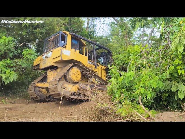 awesome!! The CAT D6R XL Dozer Clearing Weeds and Leveling The Ground Perfectly