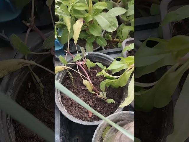 +Новинки ещё! Не могу остановиться! Что и как пришло!?