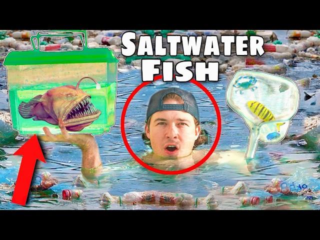 Catching COLORFUL Fish In Dirty Water For My CREEPY SALTWATER ANGLER FISH!