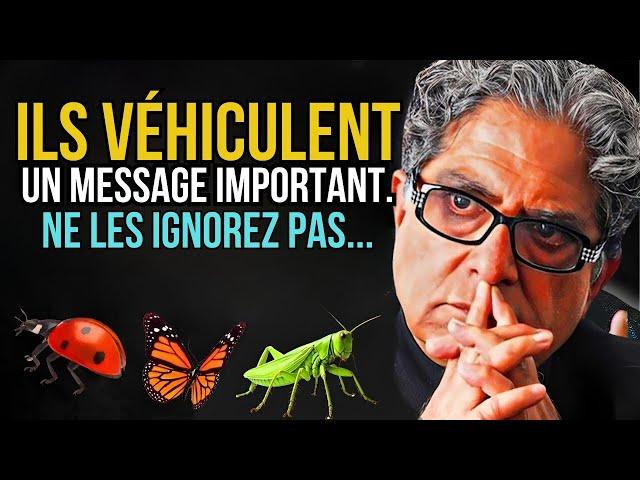 Saviez-vous que chaque insecte qui apparaît chez vous a une signification particulière?