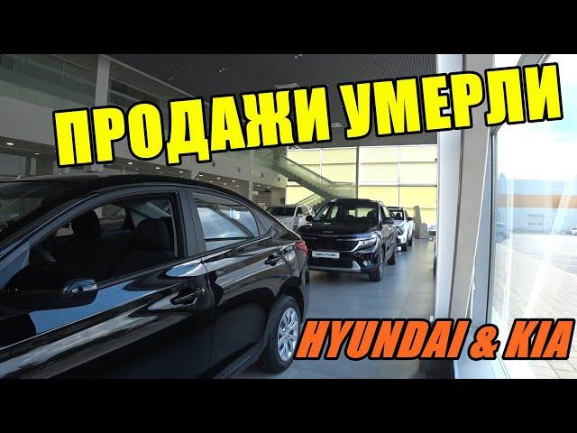 HYUNDAI & KIA ЦЕНЫ АВГУСТ 2024