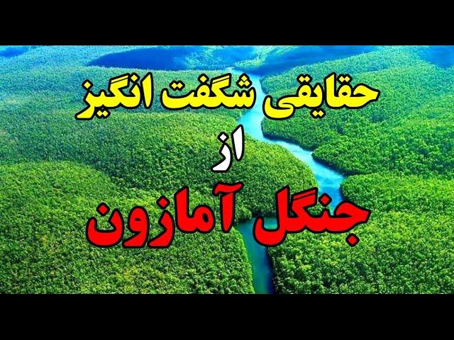 دانستنی های عجیب جنگل آمازون:حقایق شگفت انگیز جنگل آمازون|آدم خوارهای جنگل آمازون