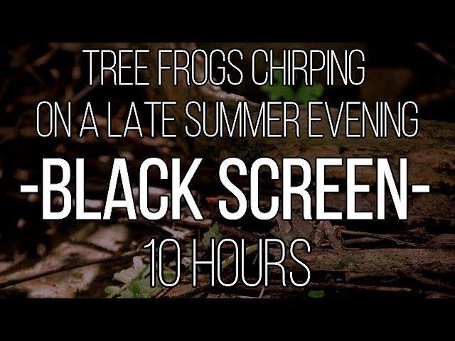 Summer Tree Frogs by the Lake | 10 Hours | Black Screen