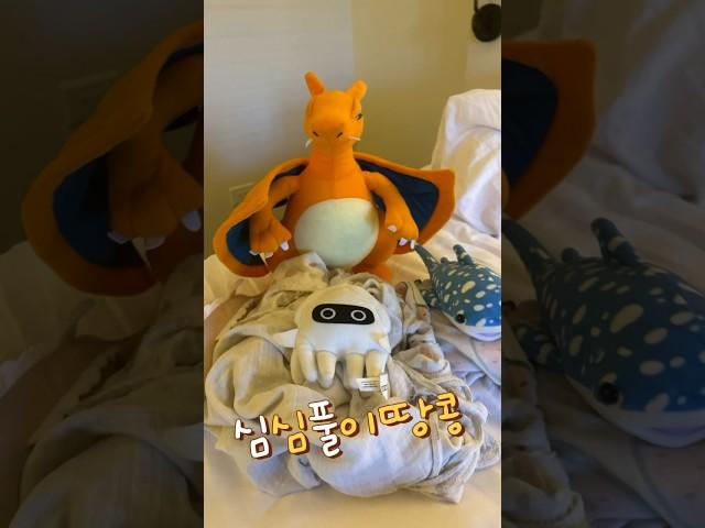 심심풀이 땅콩️