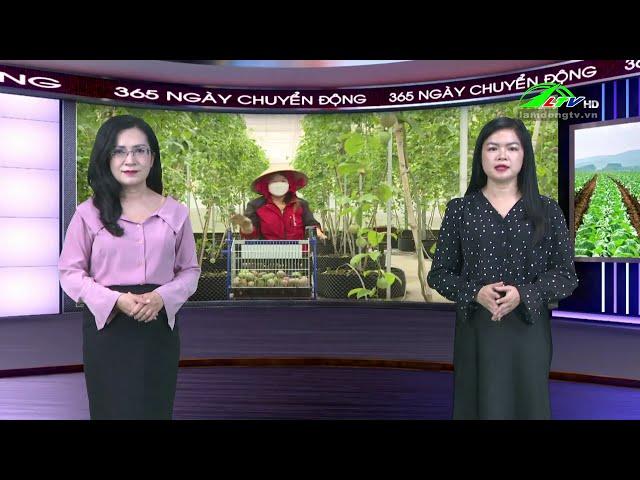 365 ngày chuyển động 03/10/2024 - Tin tức nông nghiệp | Lâm Đồng TV #thờisự