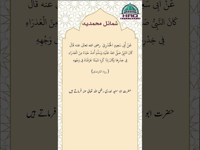 Hadith of the Day