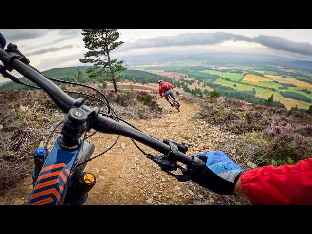 I’m sorry, but flow trails are just more fun | Mountain Biking Tarland Trails