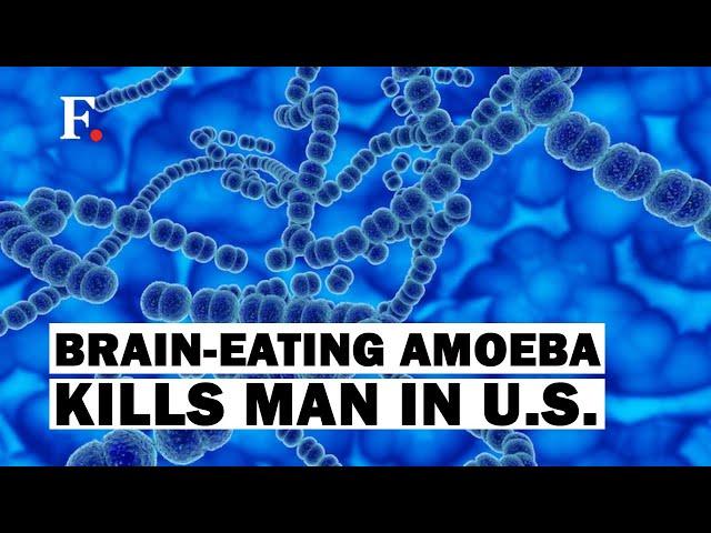 Florida Man Dies After Being Infected With Brain-Eating Amoeba