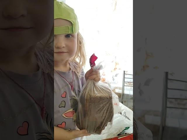 РАСПАКОВКА И ОБЕД