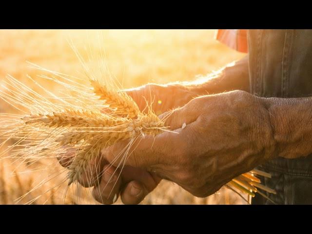 Francis Chan - God Isn't Mocked, We Reap what We Sow