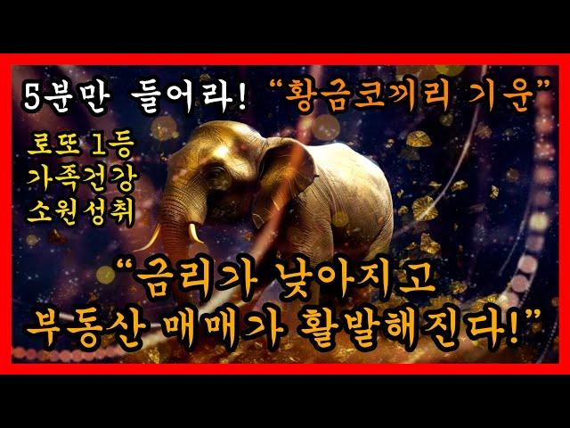 5분만 들어라황금코끼리 기운"금리가 낮아지고 부동산 매매가 활발해진다!" | 로또1등 | 부동산매매 | 주식상한가 | 자기암시 | 명상음악 | 돈을 부르는 음악