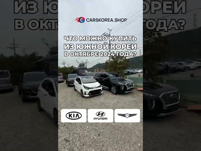 Что можно купить из Южной Кореи в октябре 2024 года? #carskorea #автоизкореи #kia #hyundai #genesis