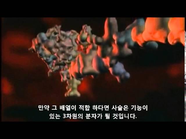 리차드 도킨스의 불가능의 산에 답하다