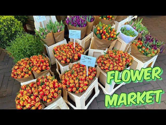 AMSTERDAM Walking Tour I Tulip Flower Market & Holland Cheese Store