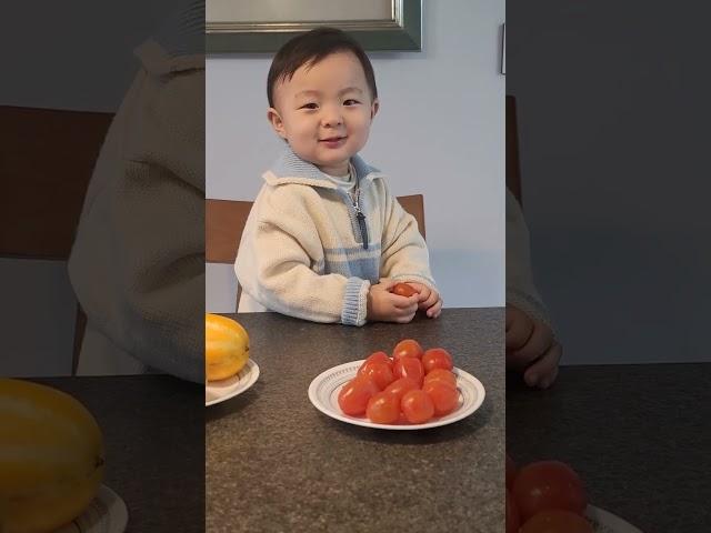 24개월 아기발달 24-month- old baby  유안이가 하나 둘 말을 하기시작 !!! 주세요 *** 감사합니다 ️️️