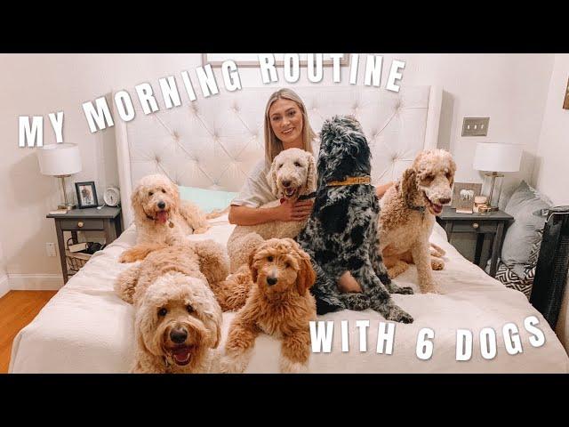 MY MORNING ROUTINE WITH 6 DOGS | 4 Goldendoodles and 2 Poodles