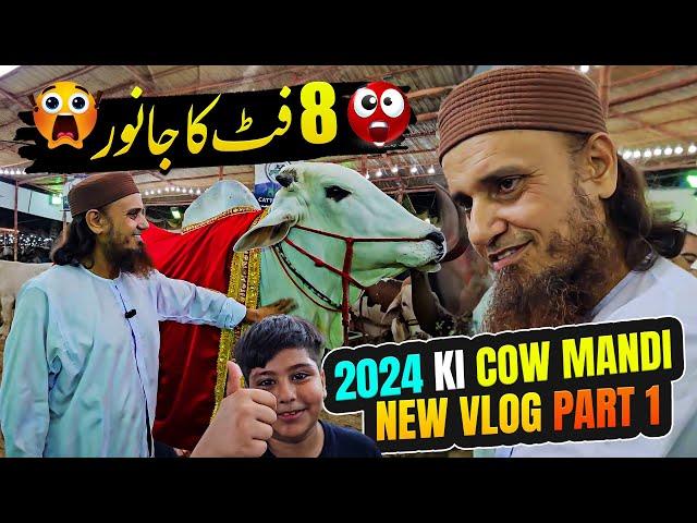 New Cow Mandi Vlog 2024 Part -1 - Mufti Tariq Masood Vlogs