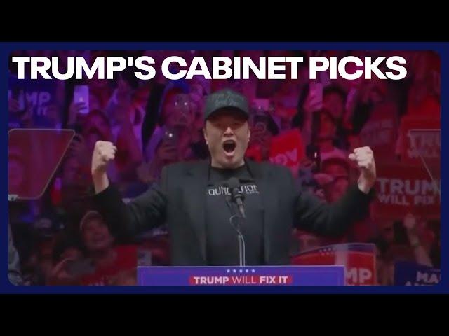 Trump's Cabinet Picks: Musk, Hegseth, Noem, and more